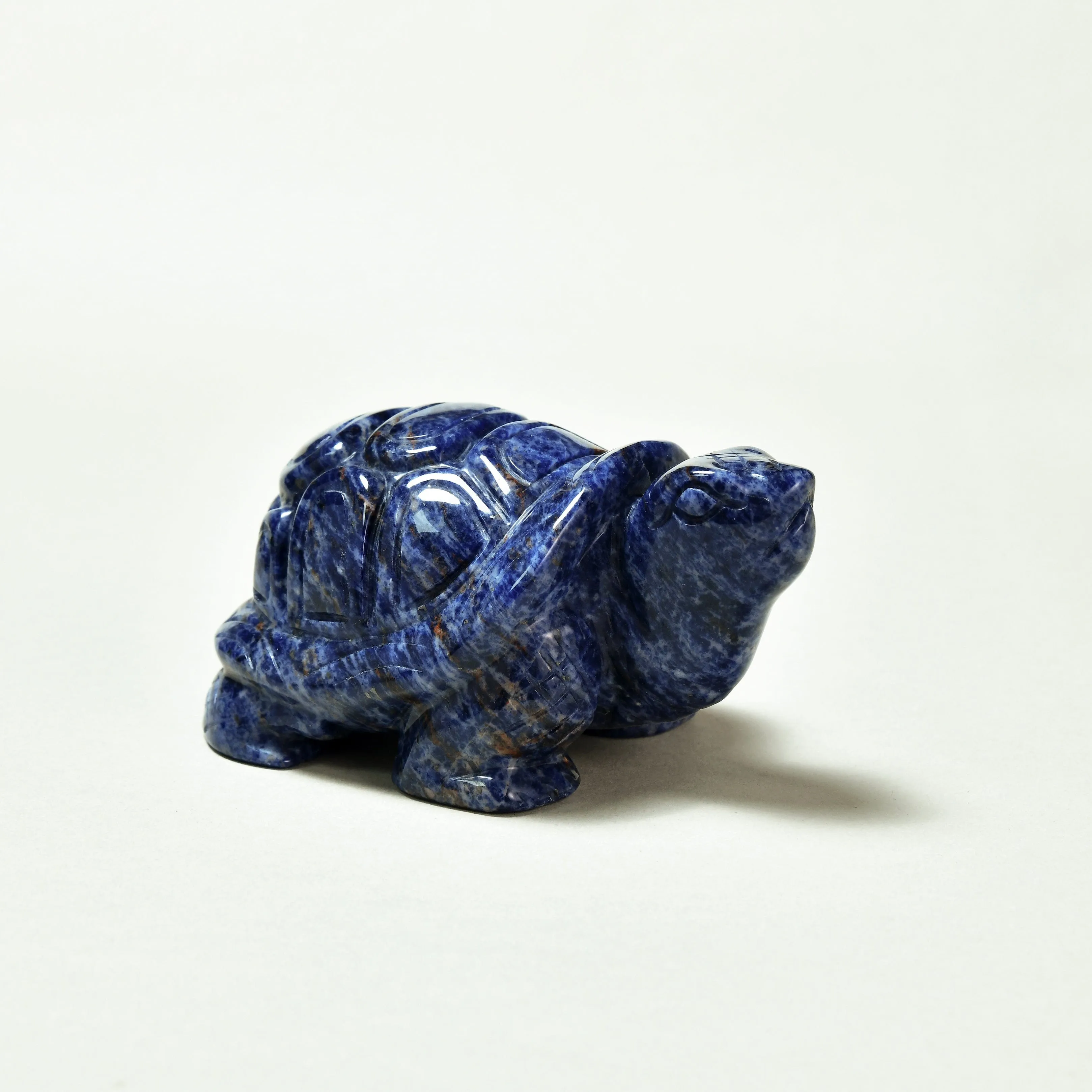 4 Sodalite Turtle Natural Gemstone Carving