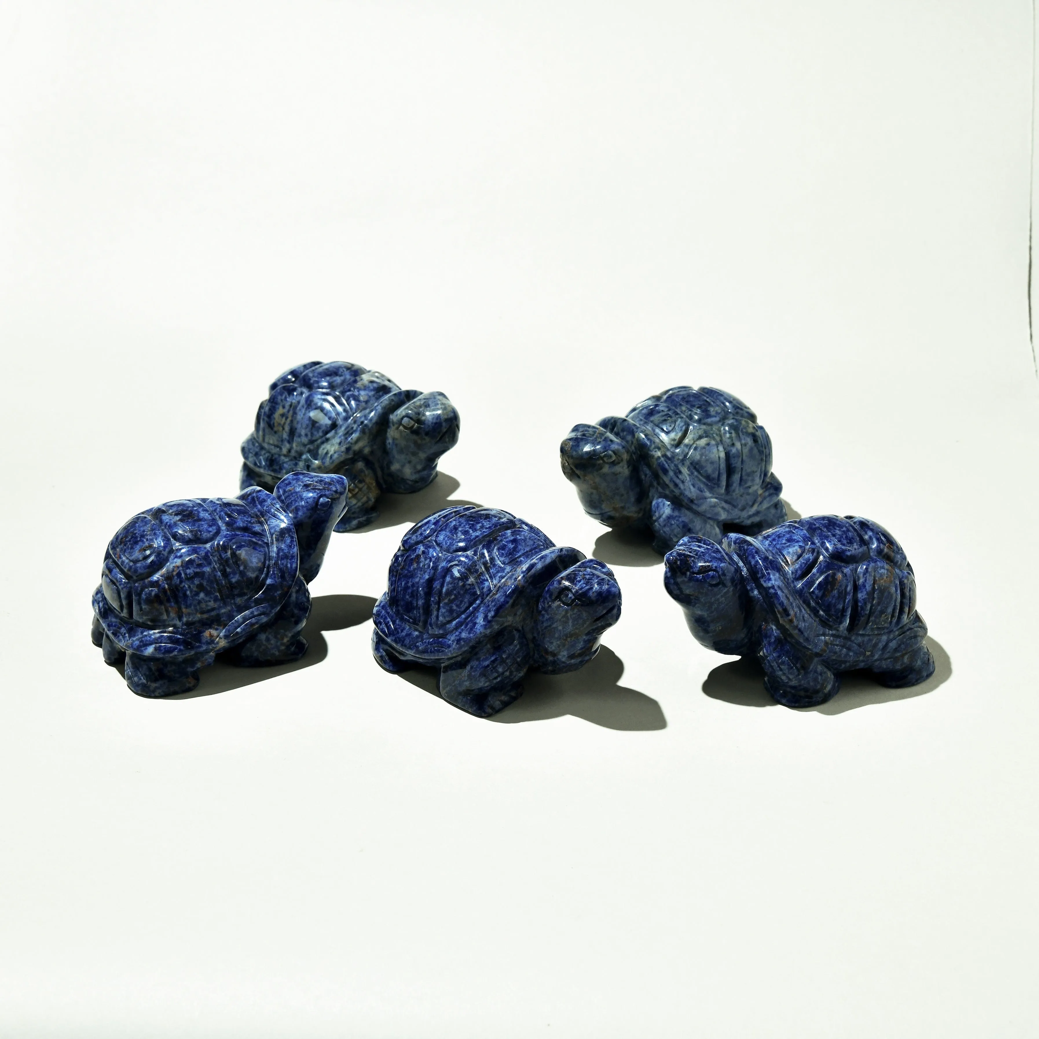 4 Sodalite Turtle Natural Gemstone Carving