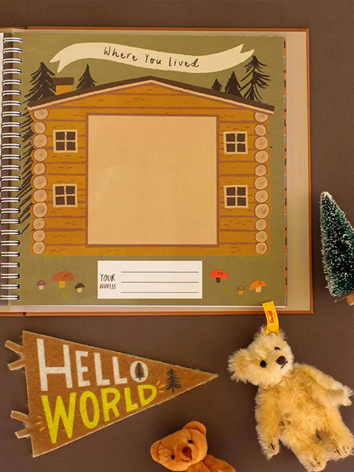 Baby Memory Book, Little Camper