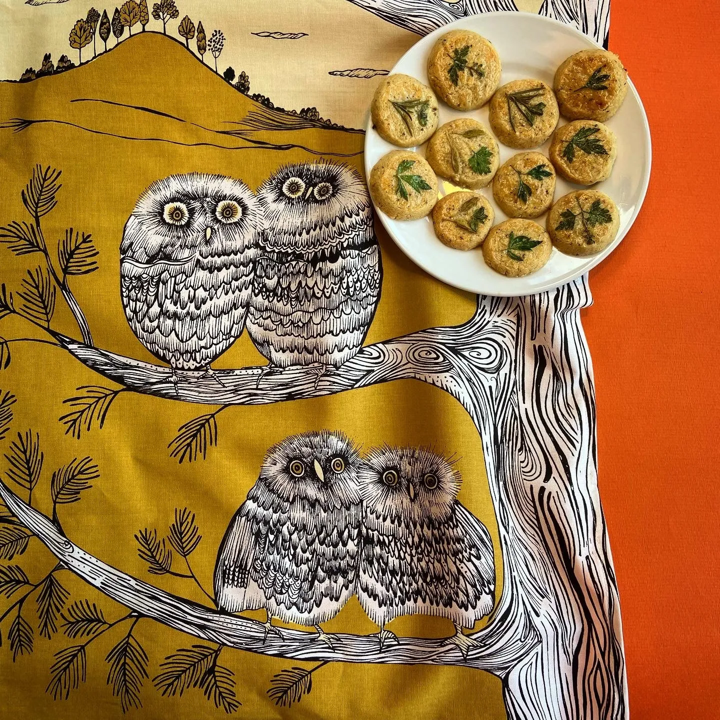 Baby Owl Tea Towel