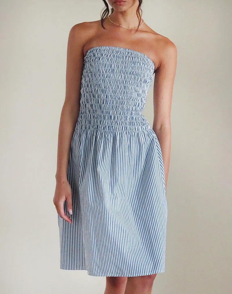 Belesi Midi Dress in Blue Small Vertical Stripe