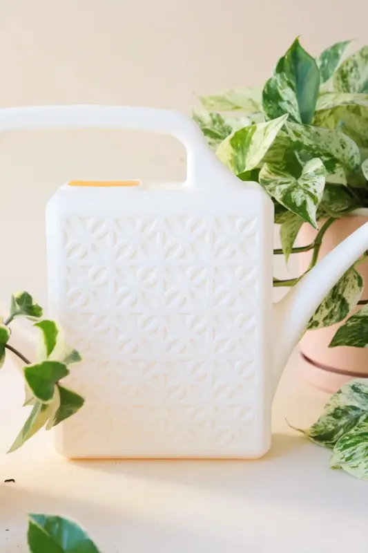 Breeze Block Watering Can