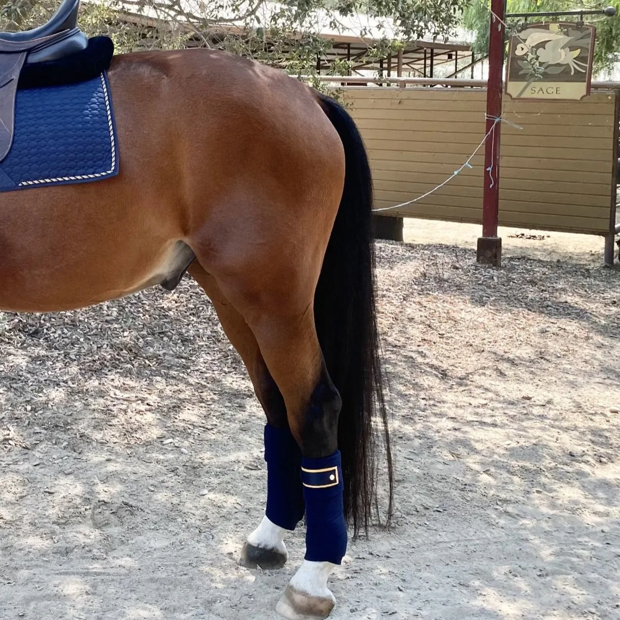 Halter Ego Navy & Gold Fleece Bandages