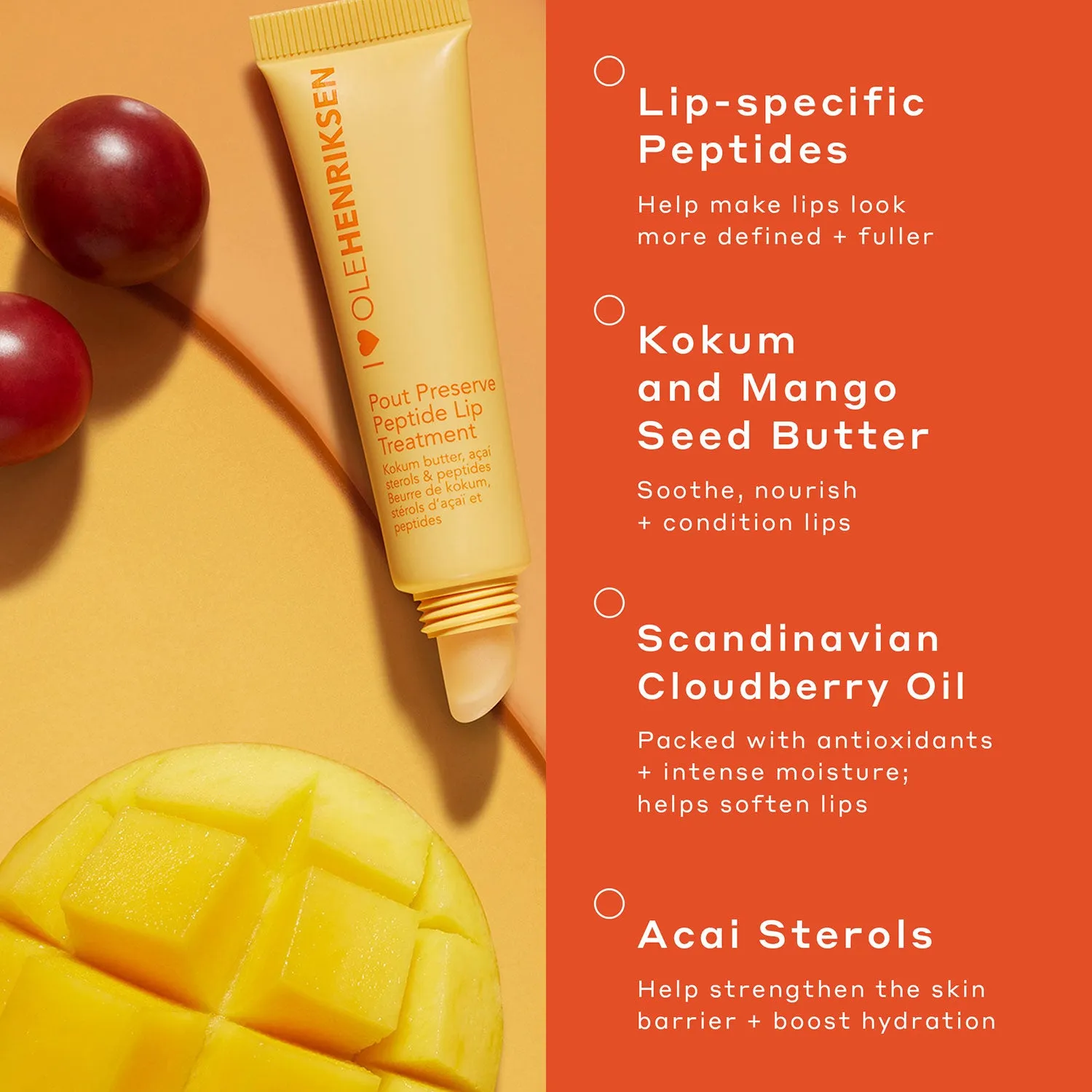 Limited-Edition Pout Preserve Lip Treatment