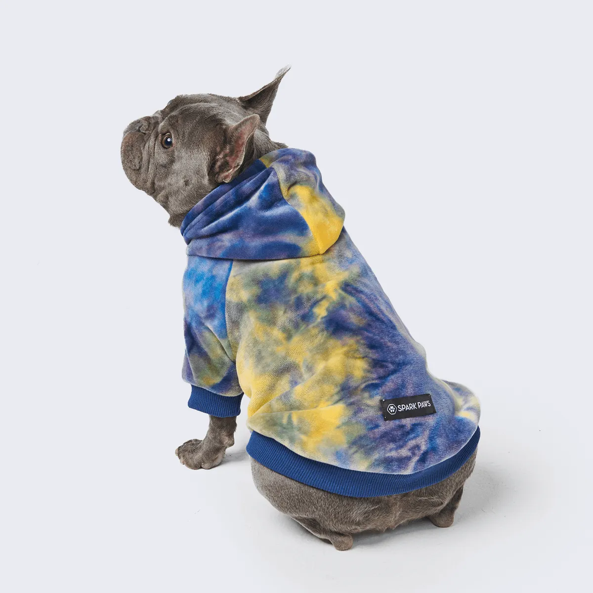 Velvet Dog Hoodie - Nova